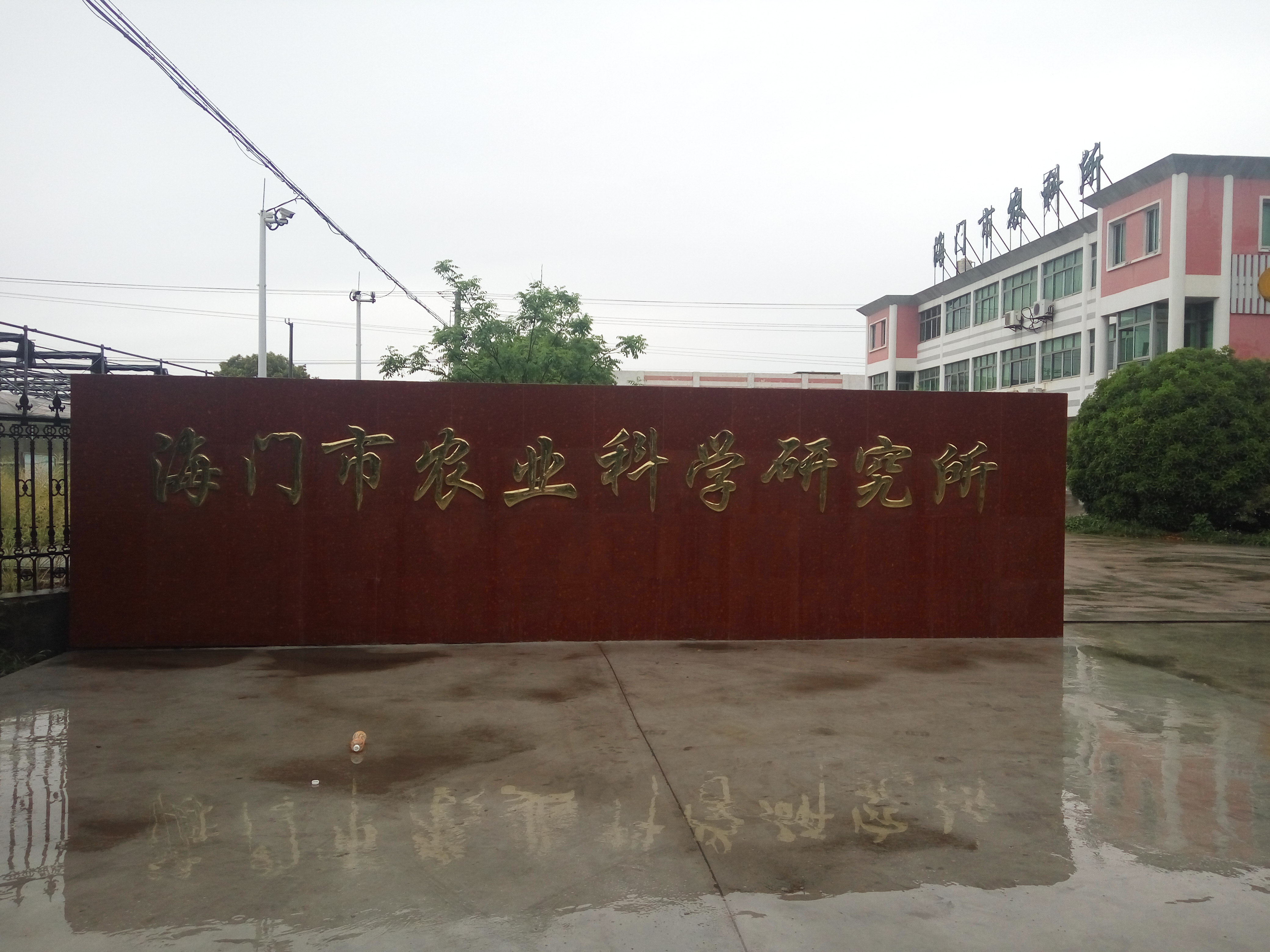 海門市農(nóng)業(yè)科學(xué)研究所——自動化育苗播種機(jī)