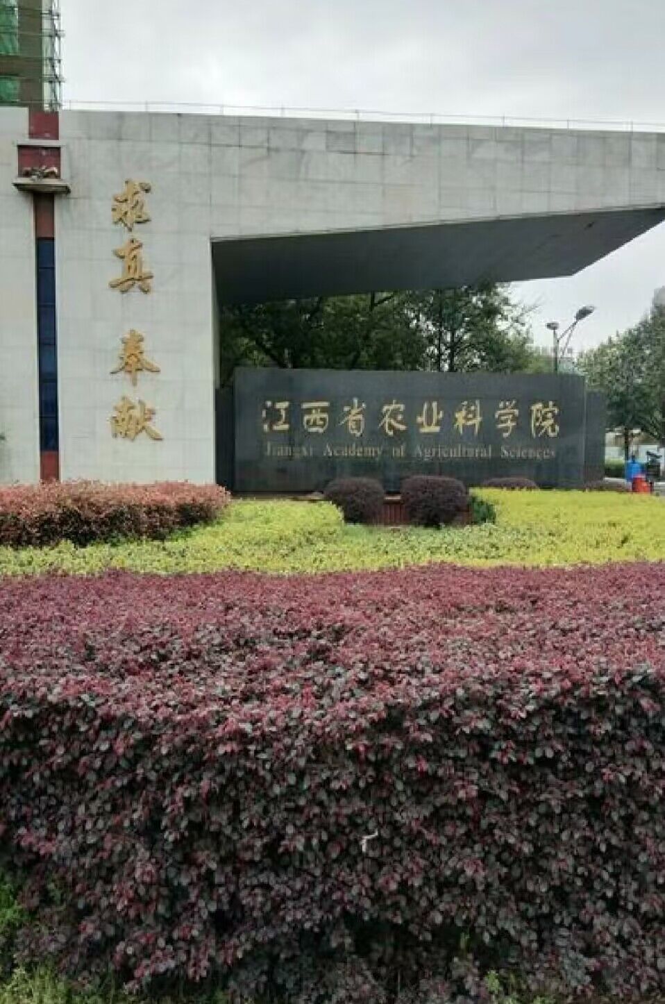 江西省農(nóng)業(yè)科學(xué)院——嫁接機(jī)采購項目