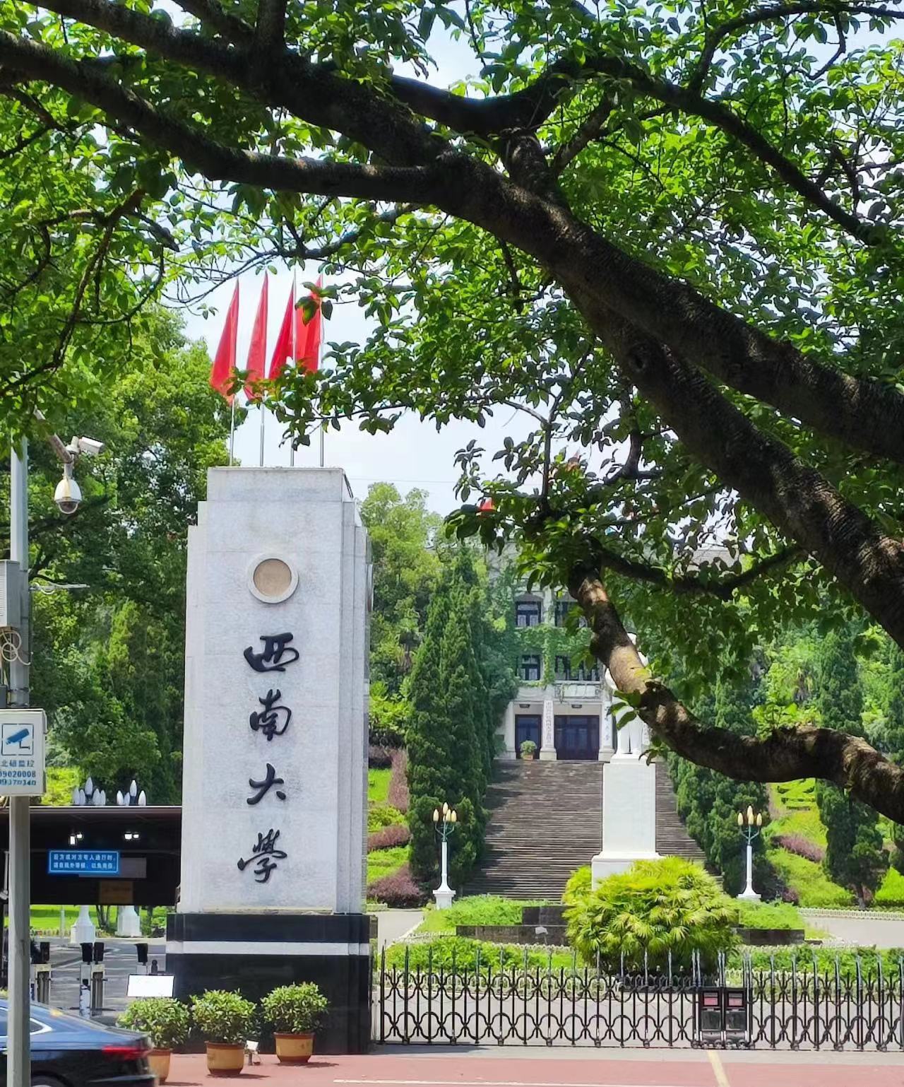 西南大學(xué)—播種機(jī)流水線采購項目